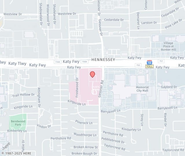 David Altamira, MD (Houston)